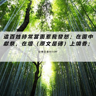 Picture 06 - 以 賽 亞 書 65:3 CUVT - 這 百 姓 時 常 當 面 惹 我 發 怒 ； - Bible Verse Picture