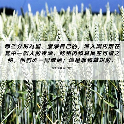 Picture 06 - 以 賽 亞 書 66:17 CUVT - 那 些 分 別 為 聖 、 潔 淨 自 己 的 - Bible Verse Picture