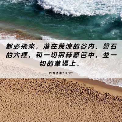 Picture 06 - 以 賽 亞 書 7:19 CUVT - 都 必 飛 來 ， 落 在 荒 涼 的 谷 內 - Bible Verse Picture