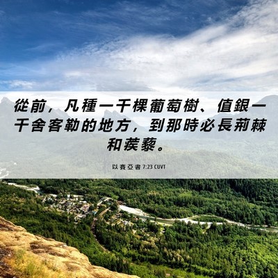 Picture 06 - 以 賽 亞 書 7:23 CUVT - 從 前 ， 凡 種 一 千 棵 葡 萄 樹 、 - Bible Verse Picture