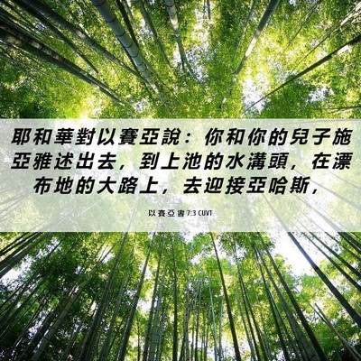 Picture 06 - 以 賽 亞 書 7:3 CUVT - 耶 和 華 對 以 賽 亞 說 ： 你 和 你 - Bible Verse Picture