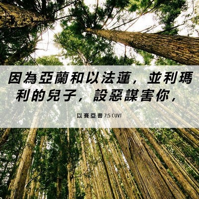 Picture 06 - 以 賽 亞 書 7:5 CUVT - 因 為 亞 蘭 和 以 法 蓮 ， 並 利 瑪 - Bible Verse Picture