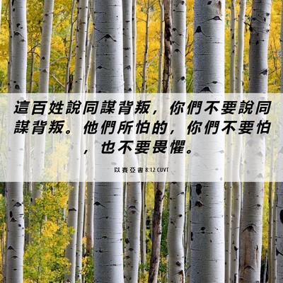 Picture 06 - 以 賽 亞 書 8:12 CUVT - 這 百 姓 說 同 謀 背 叛 ， 你 們 不 - Bible Verse Picture