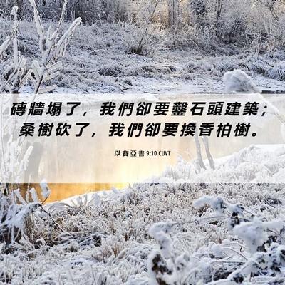 Picture 06 - 以 賽 亞 書 9:10 CUVT - 磚 牆 塌 了 ， 我 們 卻 要 鑿 石 頭 - Bible Verse Picture