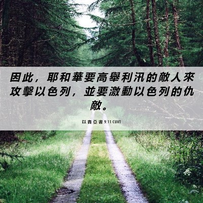 Picture 06 - 以 賽 亞 書 9:11 CUVT - 因 此 ， 耶 和 華 要 高 舉 利 汛 的 - Bible Verse Picture