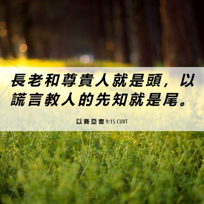 Picture 06 - 以 賽 亞 書 9:15 CUVT - 長 老 和 尊 貴 人 就 是 頭 ， 以 謊 - Bible Verse Picture