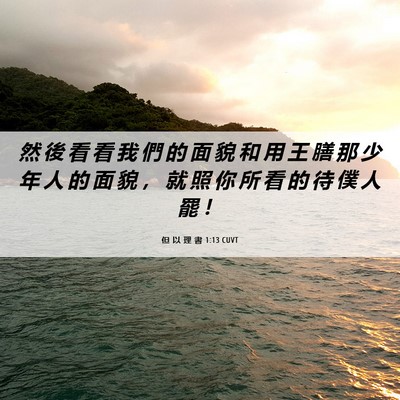 Picture 06 - 但 以 理 書 1:13 CUVT - 然 後 看 看 我 們 的 面 貌 和 用 王 - Bible Verse Picture