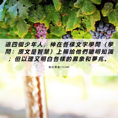 Picture 06 - 但 以 理 書 1:17 CUVT - 這 四 個 少 年 人 ， 神 在 各 樣 文 - Bible Verse Picture