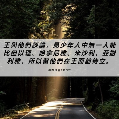 Picture 06 - 但 以 理 書 1:19 CUVT - 王 與 他 們 談 論 ， 見 少 年 人 中 - Bible Verse Picture