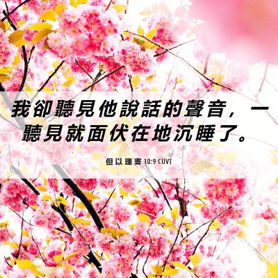 Picture 06 - 但 以 理 書 10:9 CUVT - 我 卻 聽 見 他 說 話 的 聲 音 ， 一 - Bible Verse Picture