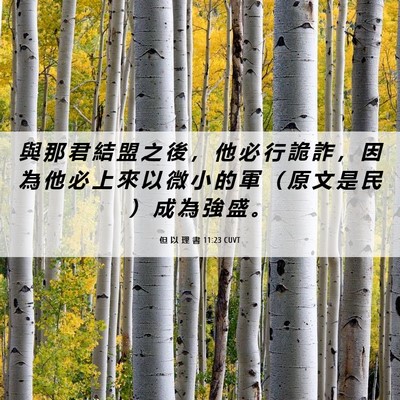 Picture 06 - 但 以 理 書 11:23 CUVT - 與 那 君 結 盟 之 後 ， 他 必 行 詭 - Bible Verse Picture