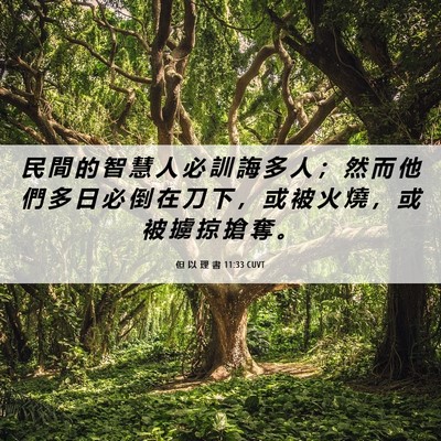 Picture 06 - 但 以 理 書 11:33 CUVT - 民 間 的 智 慧 人 必 訓 誨 多 人 ； - Bible Verse Picture