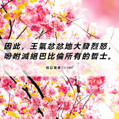 Picture 06 - 但 以 理 書 2:12 CUVT - 因 此 ， 王 氣 忿 忿 地 大 發 烈 怒 - Bible Verse Picture
