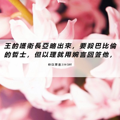 Picture 06 - 但 以 理 書 2:14 CUVT - 王 的 護 衛 長 亞 略 出 來 ， 要 殺 - Bible Verse Picture