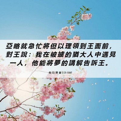 Picture 06 - 但 以 理 書 2:25 CUVT - 亞 略 就 急 忙 將 但 以 理 領 到 王 - Bible Verse Picture