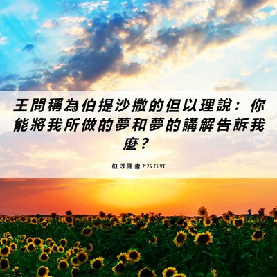 Picture 06 - 但 以 理 書 2:26 CUVT - 王 問 稱 為 伯 提 沙 撒 的 但 以 理 - Bible Verse Picture