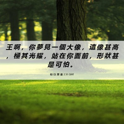 Picture 06 - 但 以 理 書 2:31 CUVT - 王 啊 ， 你 夢 見 一 個 大 像 ， 這 - Bible Verse Picture