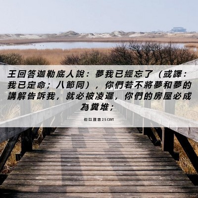 Picture 06 - 但 以 理 書 2:5 CUVT - 王 回 答 迦 勒 底 人 說 ： 夢 我 已 - Bible Verse Picture
