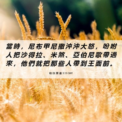 Picture 06 - 但 以 理 書 3:13 CUVT - 當 時 ， 尼 布 甲 尼 撒 沖 沖 大 怒 - Bible Verse Picture