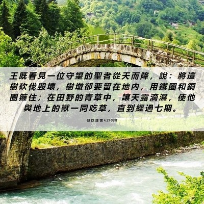 Picture 06 - 但 以 理 書 4:23 CUVT - 王 既 看 見 一 位 守 望 的 聖 者 從 - Bible Verse Picture