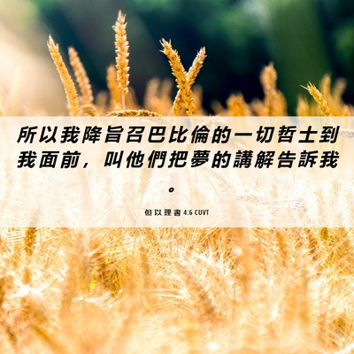 Picture 06 - 但 以 理 書 4:6 CUVT - 所 以 我 降 旨 召 巴 比 倫 的 一 切 - Bible Verse Picture