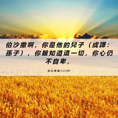 Picture 06 - 但 以 理 書 5:22 CUVT - 伯 沙 撒 啊 ， 你 是 他 的 兒 子 （ - Bible Verse Picture