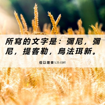 Picture 06 - 但 以 理 書 5:25 CUVT - 所 寫 的 文 字 是 ： 彌 尼 ， 彌 尼 - Bible Verse Picture