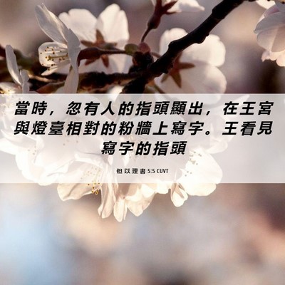 Picture 06 - 但 以 理 書 5:5 CUVT - 當 時 ， 忽 有 人 的 指 頭 顯 出 ， - Bible Verse Picture