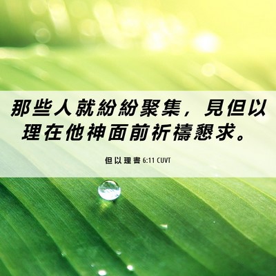 Picture 06 - 但 以 理 書 6:11 CUVT - 那 些 人 就 紛 紛 聚 集 ， 見 但 以 - Bible Verse Picture
