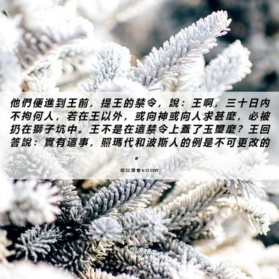 Picture 06 - 但 以 理 書 6:12 CUVT - 他 們 便 進 到 王 前 ， 提 王 的 禁 - Bible Verse Picture