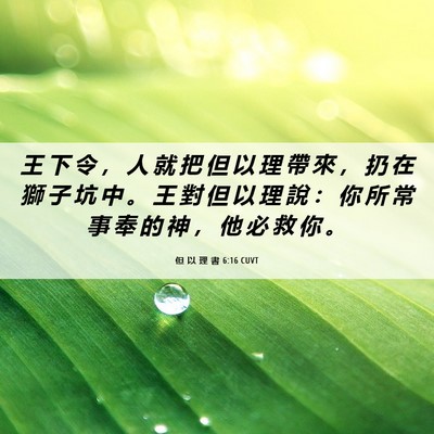 Picture 06 - 但 以 理 書 6:16 CUVT - 王 下 令 ， 人 就 把 但 以 理 帶 來 - Bible Verse Picture