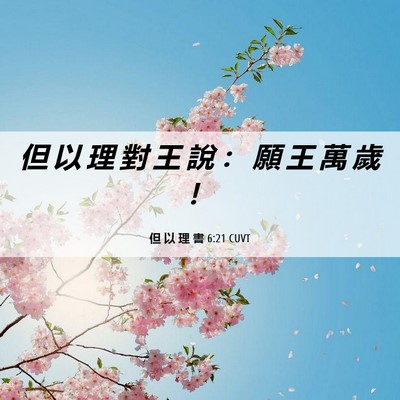 Picture 06 - 但 以 理 書 6:21 CUVT - 但 以 理 對 王 說 ： 願 王 萬 歲 - Bible Verse Picture