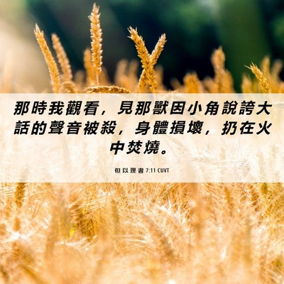 Picture 06 - 但 以 理 書 7:11 CUVT - 那 時 我 觀 看 ， 見 那 獸 因 小 角 - Bible Verse Picture