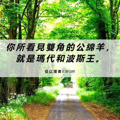 Picture 06 - 但 以 理 書 8:20 CUVT - 你 所 看 見 雙 角 的 公 綿 羊 ， 就 - Bible Verse Picture