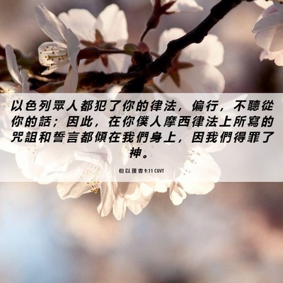 Picture 06 - 但 以 理 書 9:11 CUVT - 以 色 列 眾 人 都 犯 了 你 的 律 法 - Bible Verse Picture