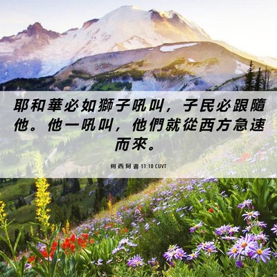 Picture 06 - 何 西 阿 書 11:10 CUVT - 耶 和 華 必 如 獅 子 吼 叫 ， 子 民 - Bible Verse Picture