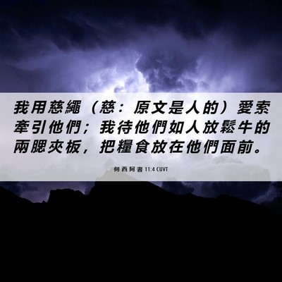 Picture 06 - 何 西 阿 書 11:4 CUVT - 我 用 慈 繩 （ 慈 ： 原 文 是 人 的 - Bible Verse Picture
