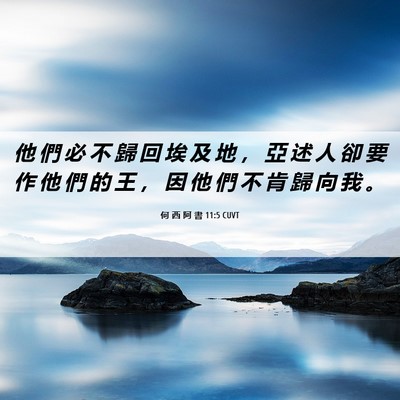 Picture 06 - 何 西 阿 書 11:5 CUVT - 他 們 必 不 歸 回 埃 及 地 ， 亞 述 - Bible Verse Picture