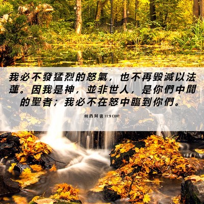 Picture 06 - 何 西 阿 書 11:9 CUVT - 我 必 不 發 猛 烈 的 怒 氣 ， 也 不 - Bible Verse Picture