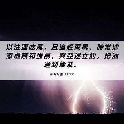 Picture 06 - 何 西 阿 書 12:1 CUVT - 以 法 蓮 吃 風 ， 且 追 趕 東 風 ， - Bible Verse Picture