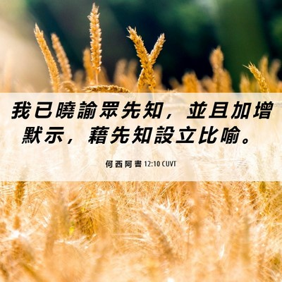 Picture 06 - 何 西 阿 書 12:10 CUVT - 我 已 曉 諭 眾 先 知 ， 並 且 加 增 - Bible Verse Picture