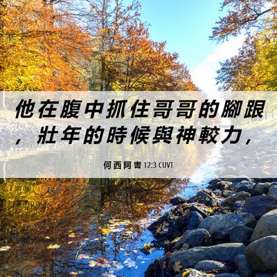 Picture 06 - 何 西 阿 書 12:3 CUVT - 他 在 腹 中 抓 住 哥 哥 的 腳 跟 ， - Bible Verse Picture