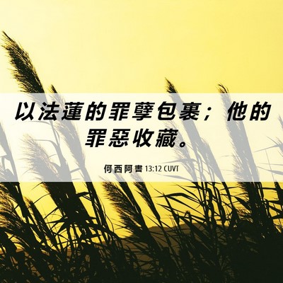 Picture 06 - 何 西 阿 書 13:12 CUVT - 以 法 蓮 的 罪 孽 包 裹 ； 他 的 罪 - Bible Verse Picture