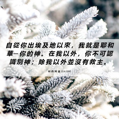 Picture 06 - 何 西 阿 書 13:4 CUVT - 自 從 你 出 埃 及 地 以 來 ， 我 就 - Bible Verse Picture