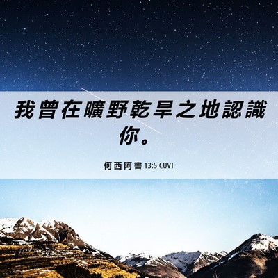 Picture 06 - 何 西 阿 書 13:5 CUVT - 我 曾 在 曠 野 乾 旱 之 地 認 識 你 - Bible Verse Picture