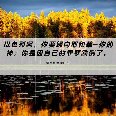 Picture 06 - 何 西 阿 書 14:1 CUVT - 以 色 列 啊 ， 你 要 歸 向 耶 和 華 - Bible Verse Picture