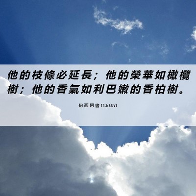 Picture 06 - 何 西 阿 書 14:6 CUVT - 他 的 枝 條 必 延 長 ； 他 的 榮 華 - Bible Verse Picture