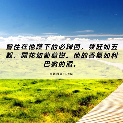 Picture 06 - 何 西 阿 書 14:7 CUVT - 曾 住 在 他 蔭 下 的 必 歸 回 ， 發 - Bible Verse Picture
