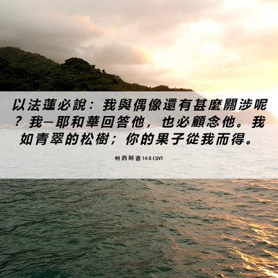 Picture 06 - 何 西 阿 書 14:8 CUVT - 以 法 蓮 必 說 ： 我 與 偶 像 還 有 - Bible Verse Picture