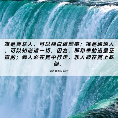 Picture 06 - 何 西 阿 書 14:9 CUVT - 誰 是 智 慧 人 ， 可 以 明 白 這 些 - Bible Verse Picture